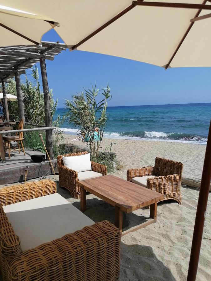 Studio 4 Personnes Bord De Mer Avec Piscine Wifi سيرفيون المظهر الخارجي الصورة